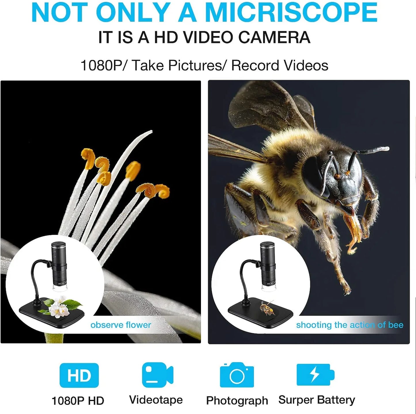 Microscope numérique sans fil, grossissement 50X-1000X, portable, déterminer, microscopes USB, support flexible, iPhone, Android, PC